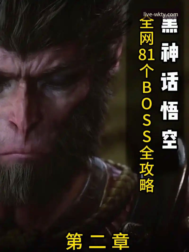 资深用户分享：2026悟空体育官网入口使用心得与实战经验